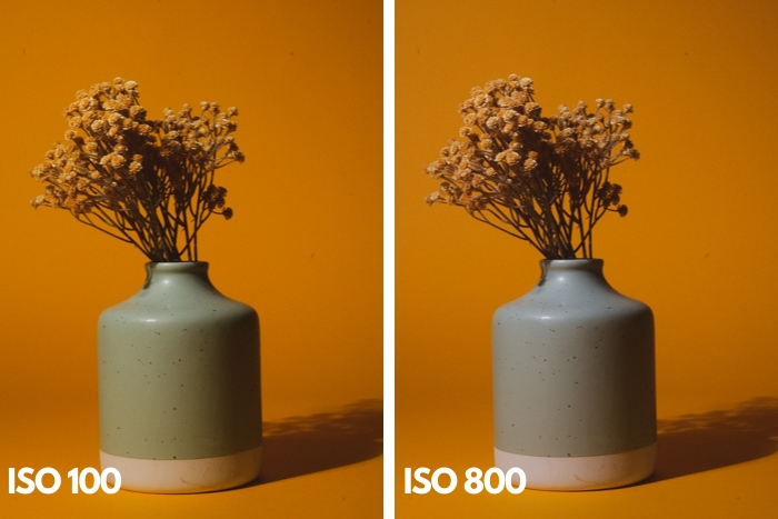 ISO bất biến trong ảnh lọ hoa