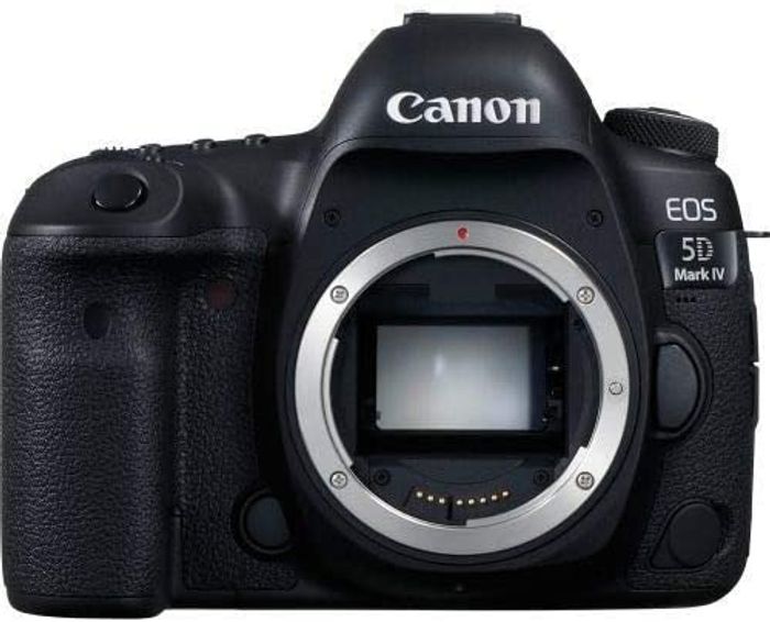 Canon EOS 5D MkIV with 100mm f2.8L IS USM Macro Lens